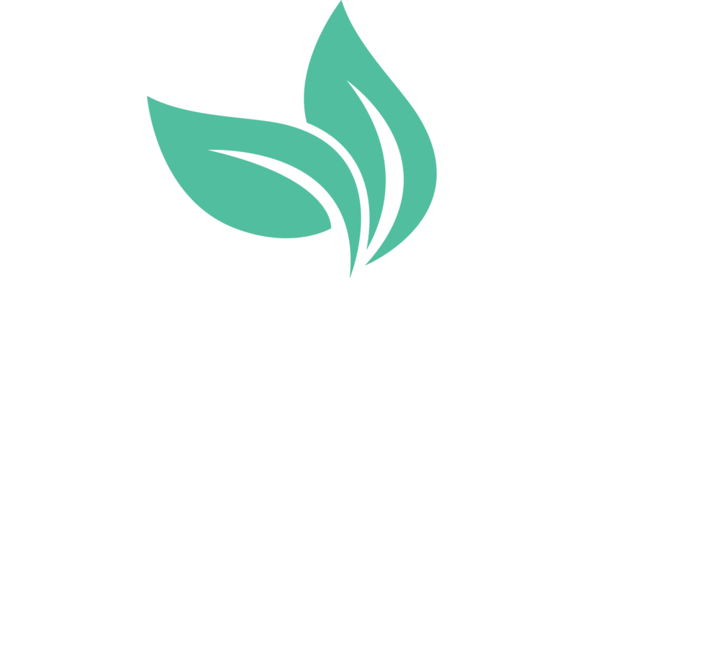 Mint Interior Projects Logo Branding Graphics Font Leaf